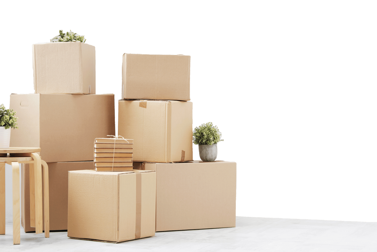 Hero Background Image